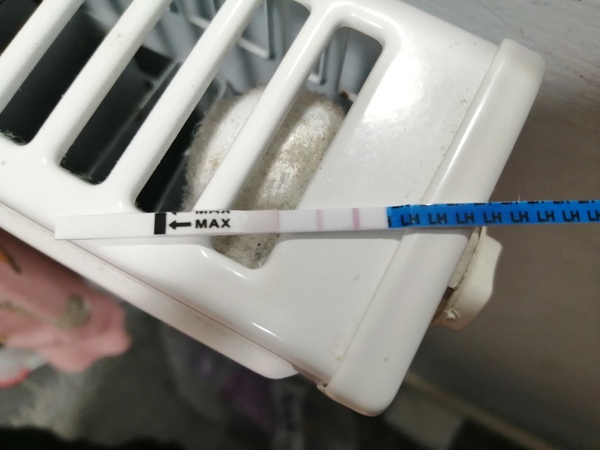 Opk is this close to positive