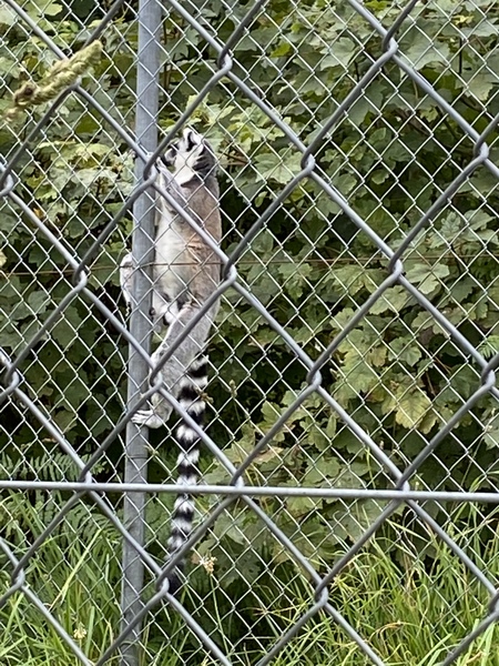 August Always Adds Pocket Pressure, Frugal Friends Thrive Thriftily