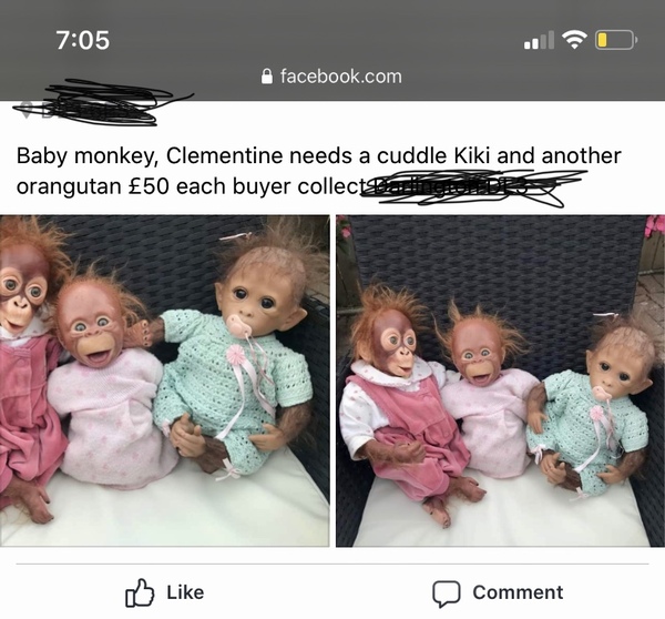 To love Facebook marketplace for its comedy gold?