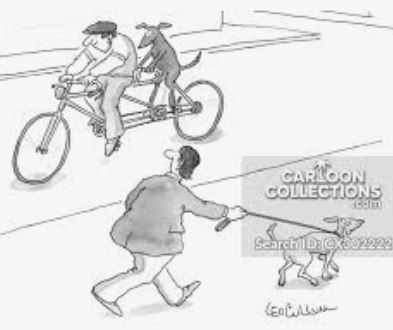 AIBU to think it's cruel to cycle with your dog