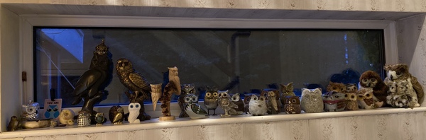 What, if anything, do you collect?