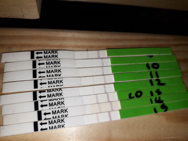 Preconception planning - anyone want to join?