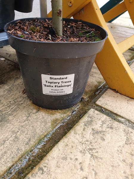 Any chance of recovery?