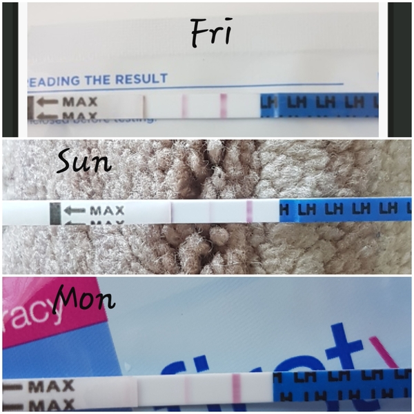 Have I ovulated?