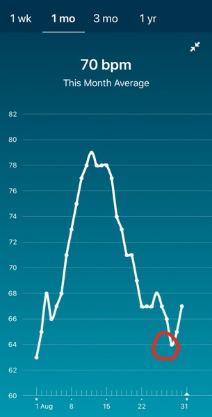 Tracking your cycle and possible BFP using RHR - part 3