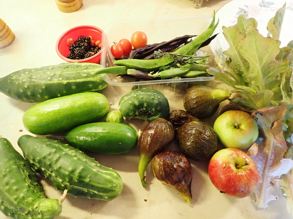 Allotment/Veg Patch Thread 16  Weather weirdness prevails !