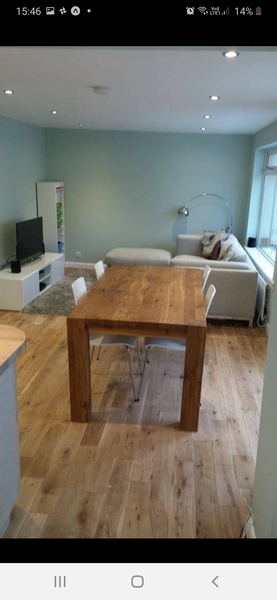 Sage green family kitchen - navy feature wall?