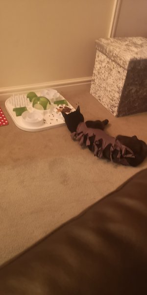 Pregnant after Loss and Dreaming of Rainbows - 5