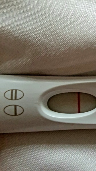 OH better impregnate me good - August Bus 15