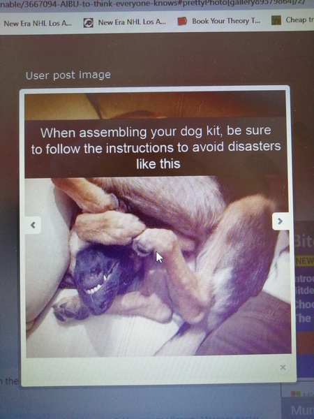 show me your dogs!