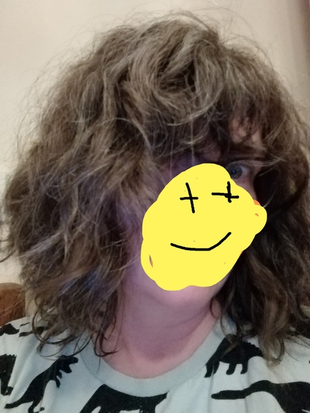 ➿ Fantastic Haircare: Making Sense and Science of the Curly Girl Method