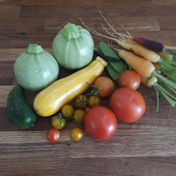 Allotment/Veg Patch Thread 16  Weather weirdness prevails !