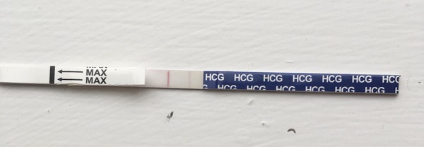 Can anyone help with when I ovulated?