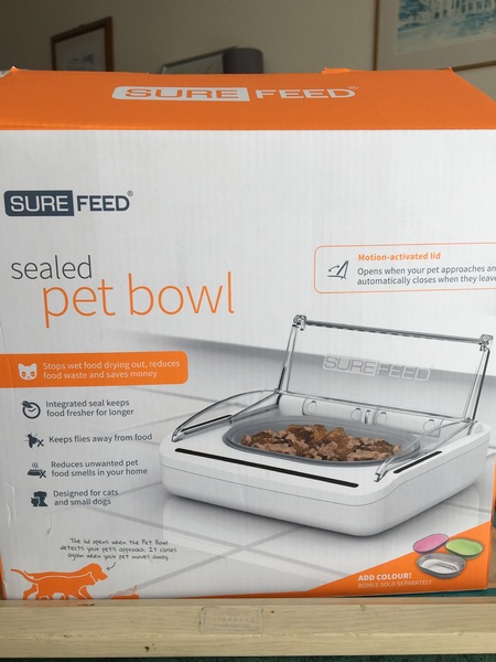 Flies and cat food