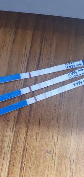 Got a positive pregnancy test