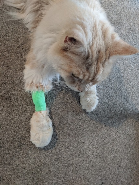 Removing bandage after drip