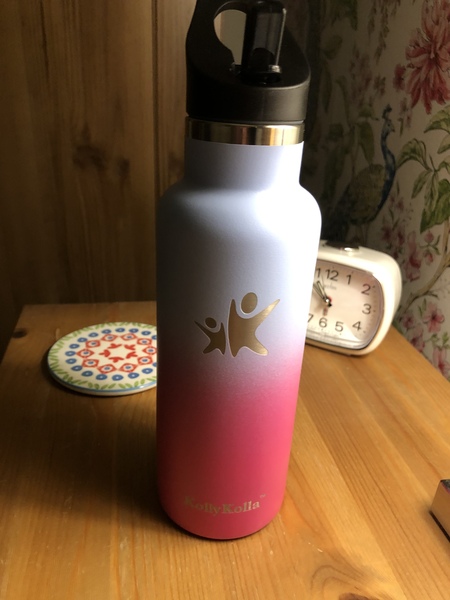 Metal water bottles - worth it?