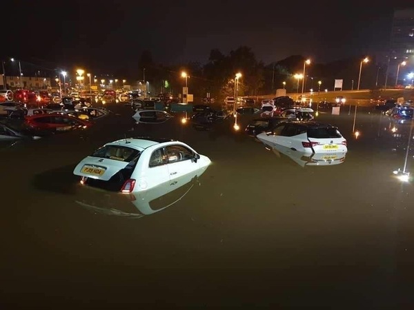 Baby buddies due April 202