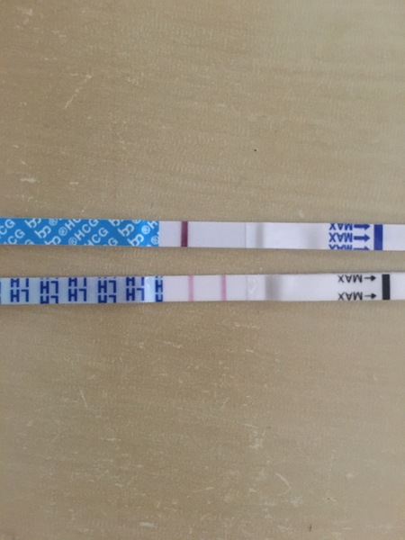 8th day of positive OPK