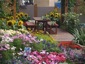 Rubbish garden