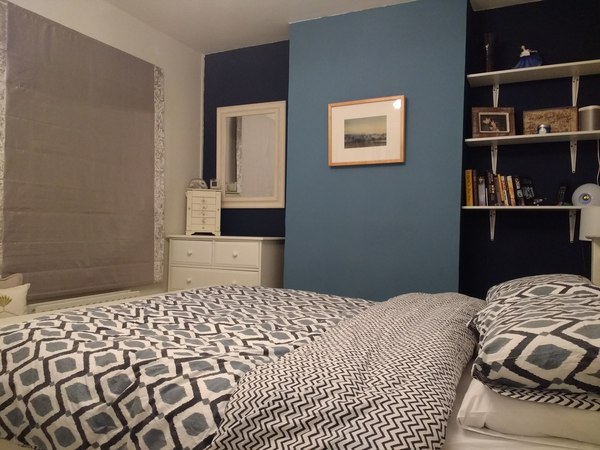 Paint colour  help