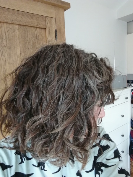 ➿ Fantastic Haircare: Making Sense and Science of the Curly Girl Method
