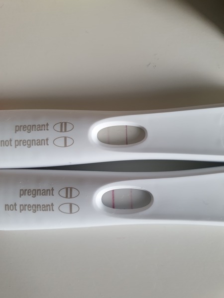 Pregnant after Missed Miscarriage MMC
