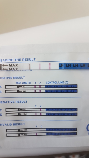 Opk, would you say this is positive??