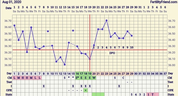BBT, BFN, 10 DPO