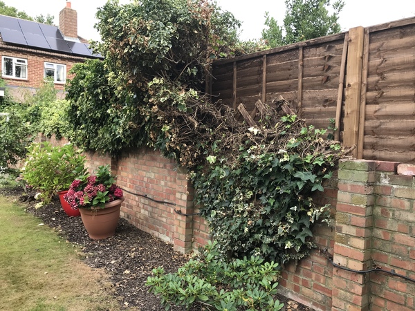 Neighbours old wall and new fence - are they taking the piss?
