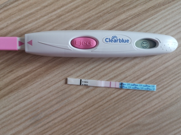 First ever positive opk! I'm so happy! Now...when to BD?