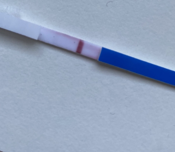 BBT still above coverline after bleed. Help?