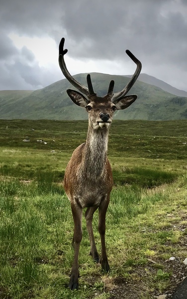 Have you driven through Glencoe?