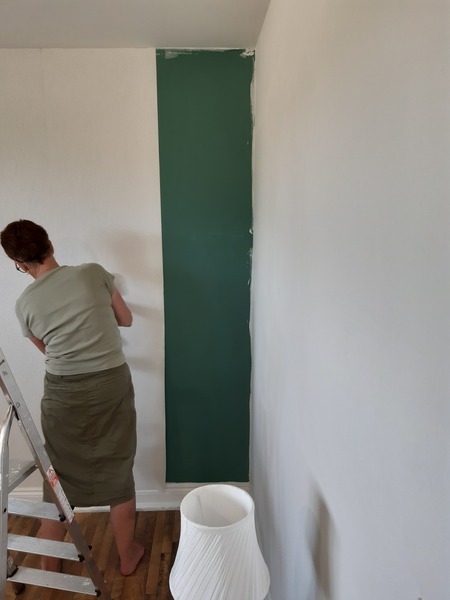 Trendy dark paint: a cautionary tale.