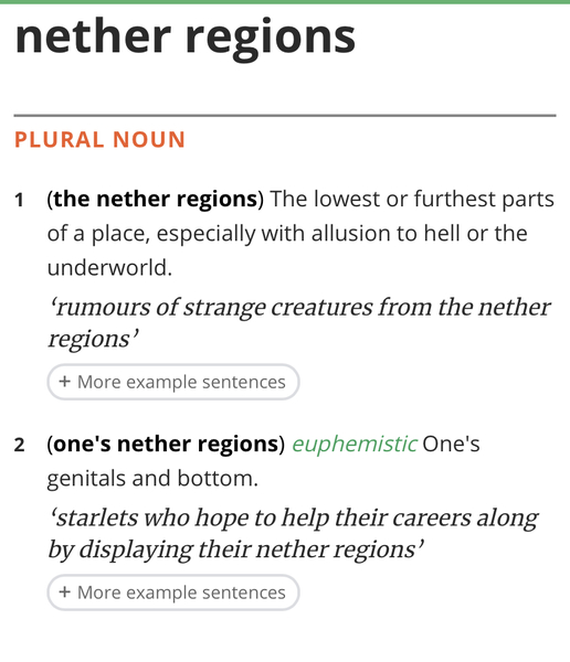 What's the appropriate terminology for your "nether regions" in a  new middle aged relationship?