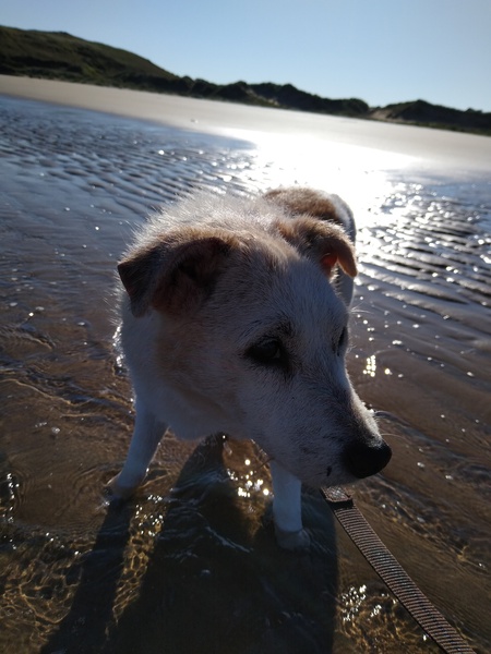 This is Fred. He's 18 today.