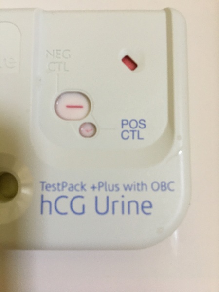 Old ovaries, new lines