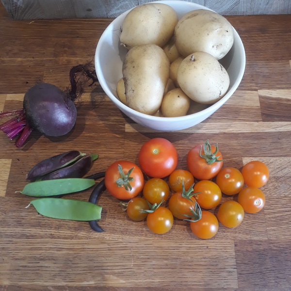Allotment/Veg Patch Thread 16  Weather weirdness prevails !