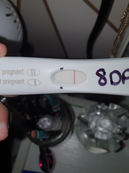 OH better impregnate me good - August Bus 15