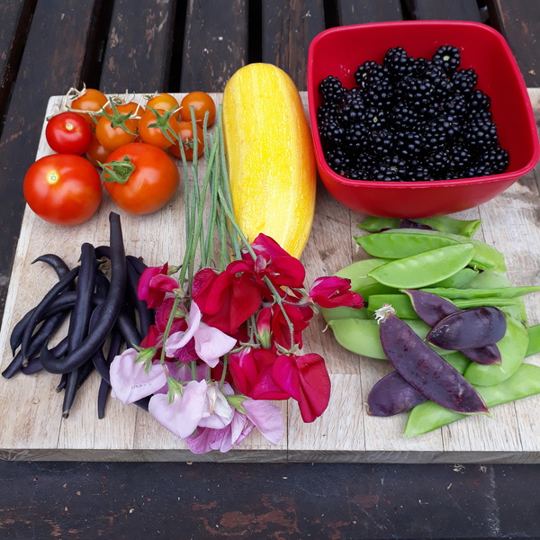 Allotment/Veg Patch Thread 16  Weather weirdness prevails !