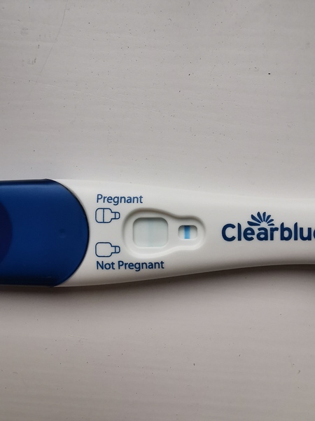 OH better impregnate me good - August Bus 15