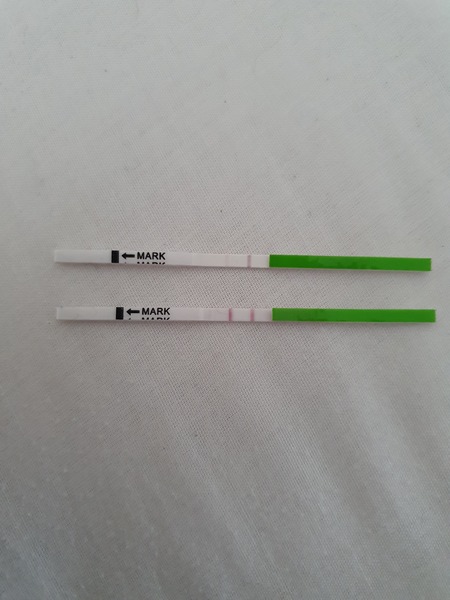 🦕 Catching up - ttc after miscarriage part 4 🦕