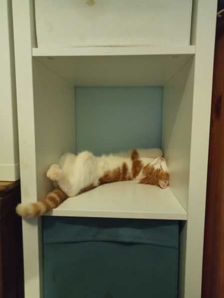 August Always Adds Pocket Pressure, Frugal Friends Thrive Thriftily