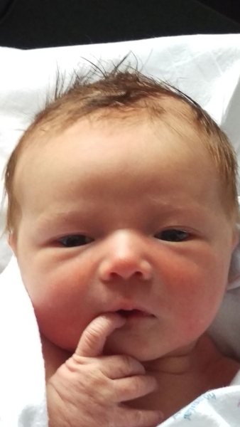 High risk quadruple test v low risk Harmony test