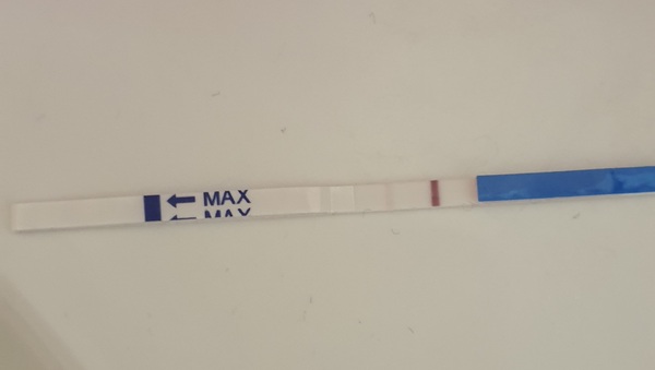 Pregnancy tests!