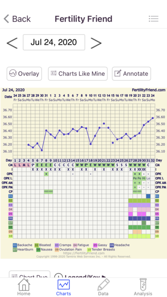 Ovulation.. lets go again !