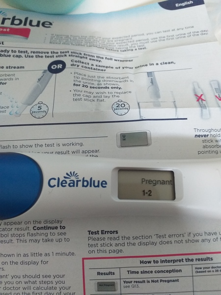 Pregnancy test faint line