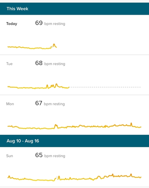 Heart Rate/Fitbit/Early Pregnany