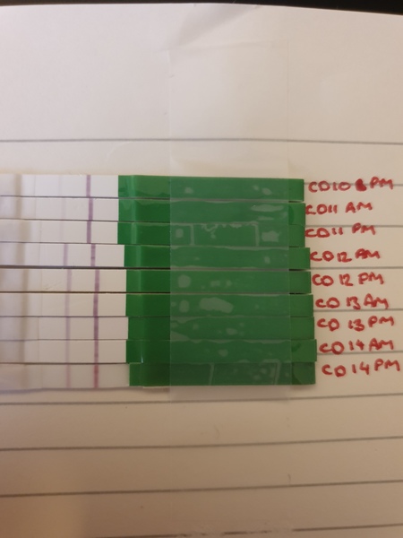 OPK advice please