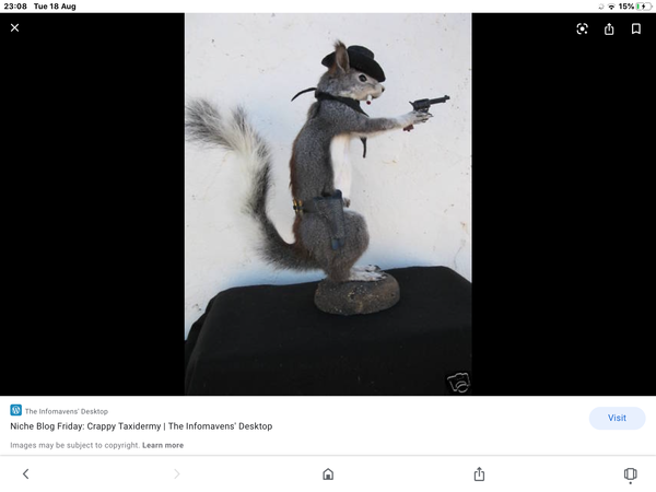 AIBU to remove DH's taxidermied rodent?